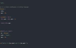 Buzz Programming Language
