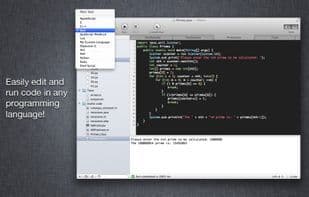 CodeRunner