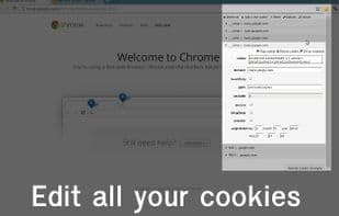 EditThisCookie 