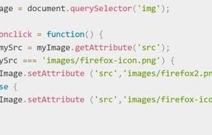 JavaScript