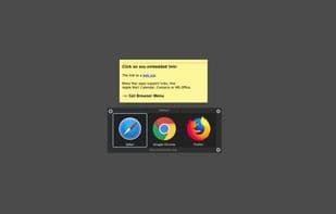 LinCastor Browser