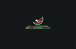 MelonLoader