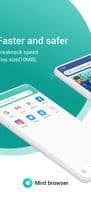 Mint Browser