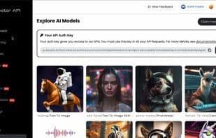 Monster API