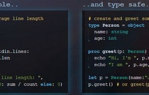 Nim (programming language)