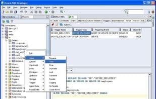 Oracle SQL Developer