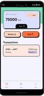 Padawan wallet