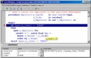 PL/SQL Developer