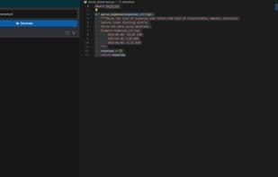 Privy Coding Assistant