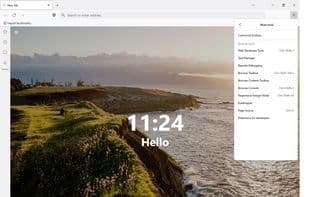 Pulse Browser