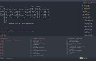 Spacevim
