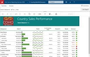 SQL Server Reporting Services