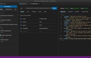 Thunder Client