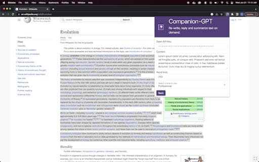 AI Summarizer - 谷歌插件