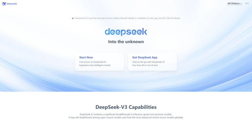 DeepSeek