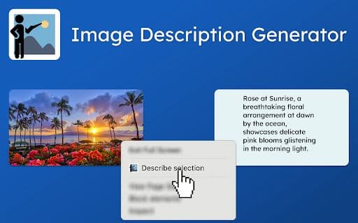 Image Describer - 谷歌插件