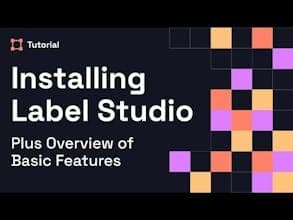 Label Studio 
