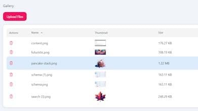 Maple CMS