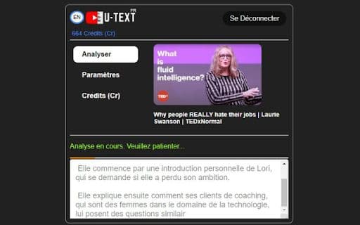 YouTube Video Summarizer Extension - 谷歌插件