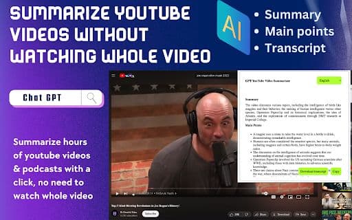 AI Video Summarizer - Google Extension