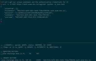 acme-dns