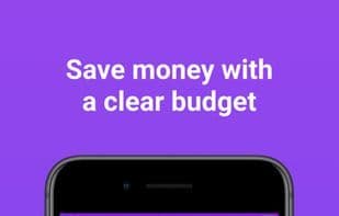 Actual Budget