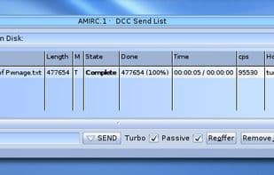 AmIRC