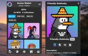 Avana Wallet