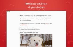 Bear