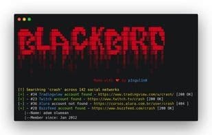 Blackbird OSINT