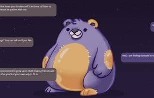 Broken Bear