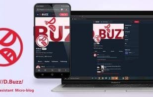 D.Buzz