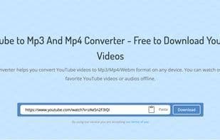 Video Downloader Professional - DMsave