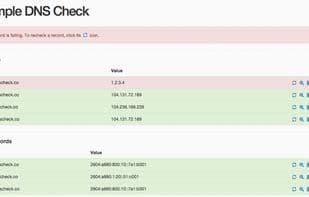 DNS Check