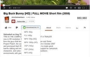 Easy Youtube Video Downloader Express
