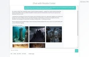 Expert Comments