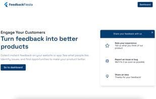 Feedback Fiesta