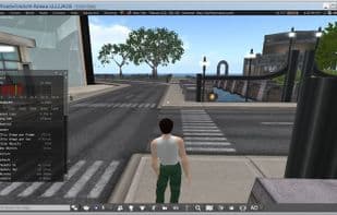 Firestorm Viewer