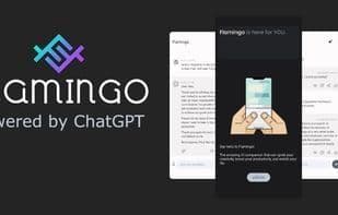 Flamingo: Chat with AI