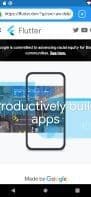Flutter Browser
