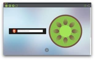 Fruity Web Browser