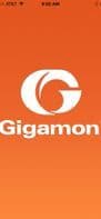 Gigamon