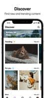 Hive Social