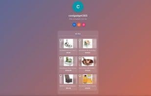 Insty