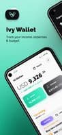 Ivy Wallet