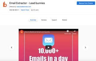 Lead Bunnies