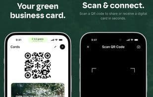 Leafless Cards