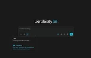 Perplexity Labs