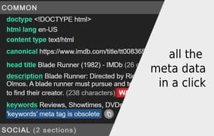 META SEO Inspector
