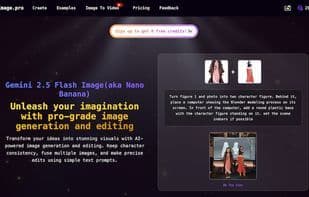 Flash Image Pro
